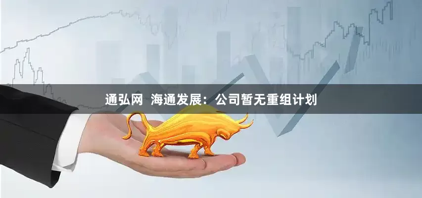 通弘网  海通发展：公司暂无重组计划
