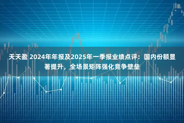 天天盈 2024年年报及2025年一季报业绩点评：国内份额显著提升，全场景矩阵强化竞争壁垒