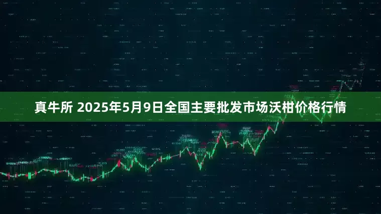 真牛所 2025年5月9日全国主要批发市场沃柑价格行情
