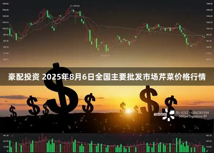 豪配投资 2025年8月6日全国主要批发市场芹菜价格行情