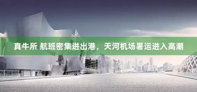 真牛所 航班密集进出港，天河机场暑运进入高潮